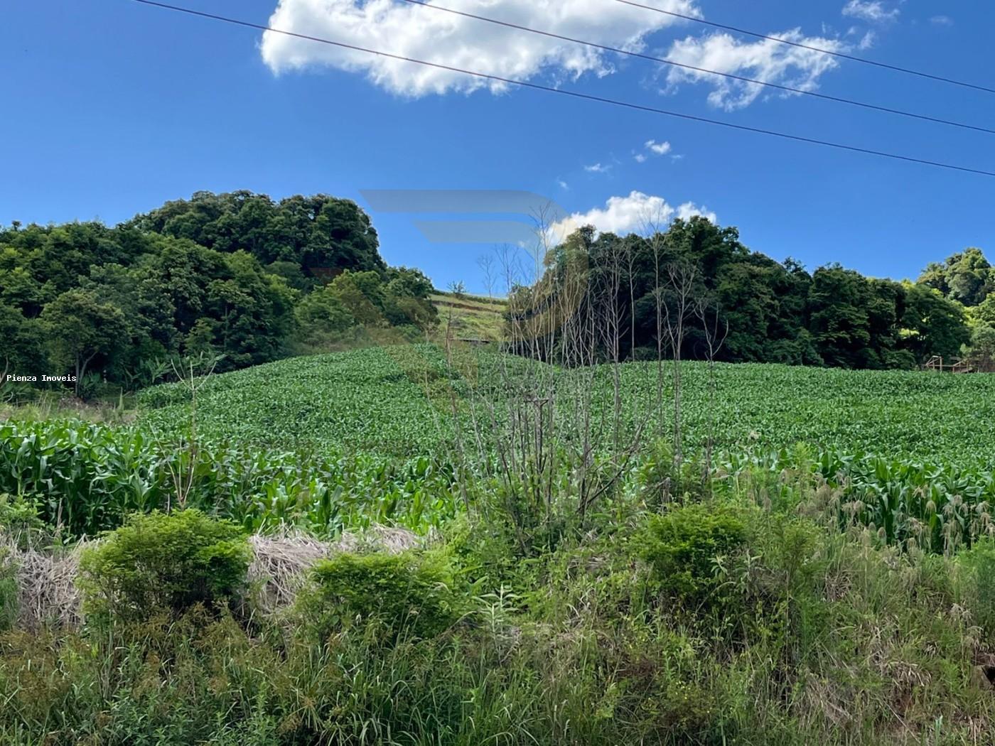 Loteamento e Condomínio, 4 hectares - Foto 5