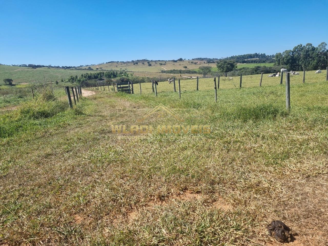 Fazenda à venda, 600m² - Foto 18