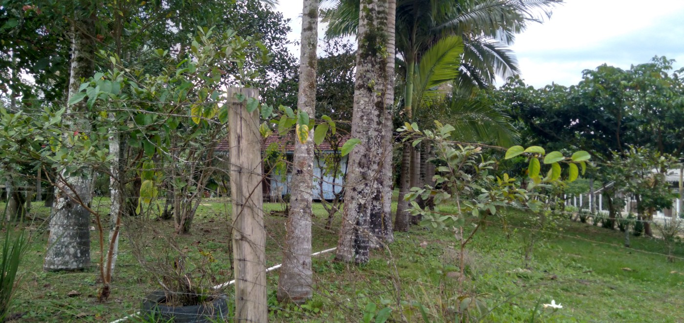 Chácara, 4500 m² - Foto 4