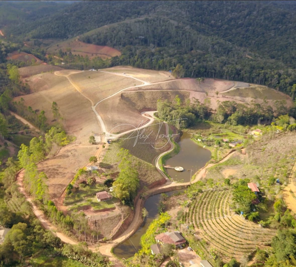 Fazenda à venda, 10000m² - Foto 5