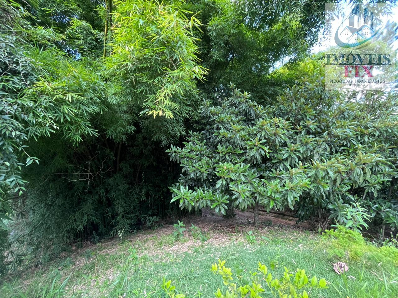 Fazenda à venda com 4 quartos, 200m² - Foto 34