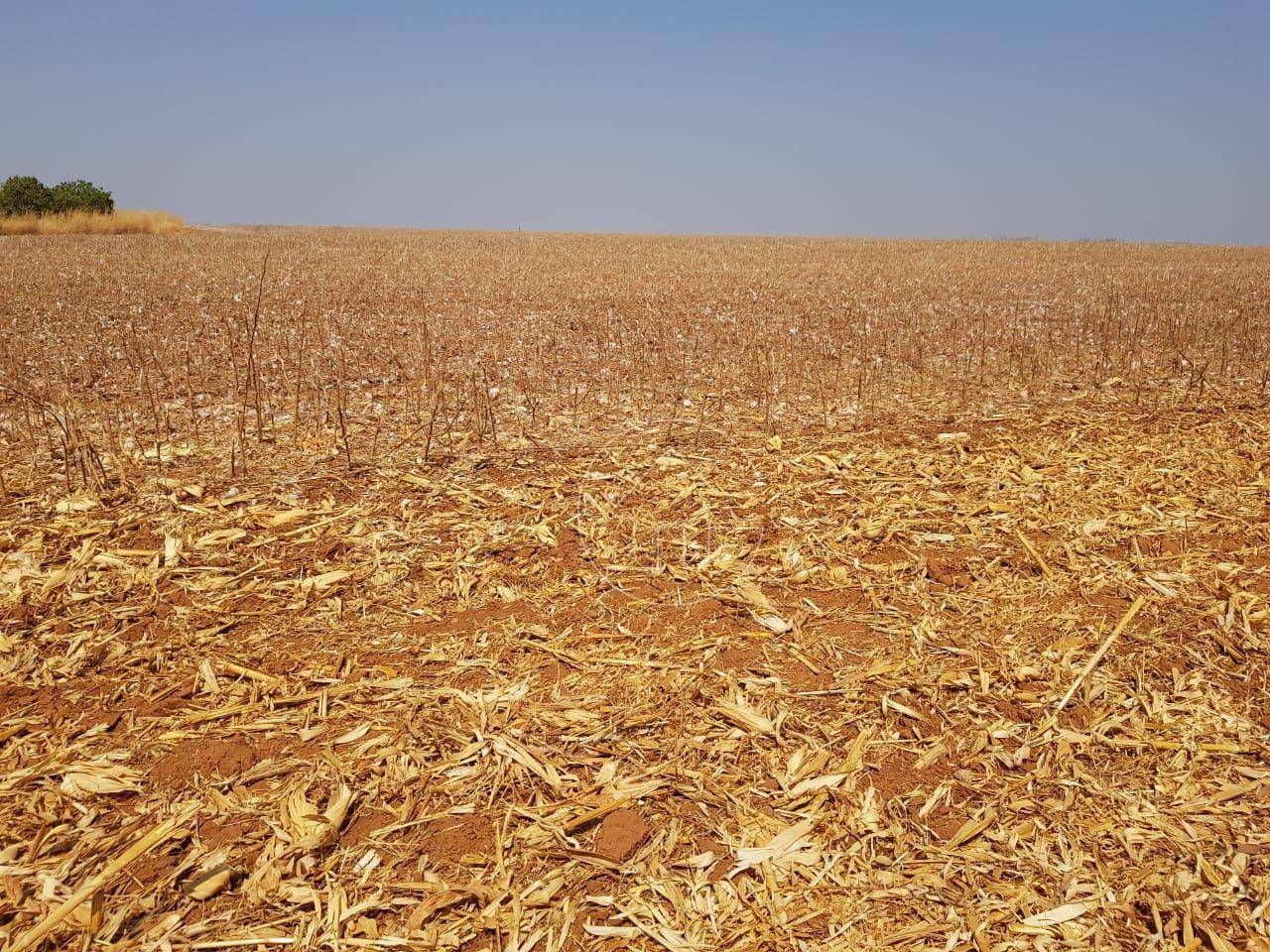 Fazenda à venda, 170000000M2 - Foto 19