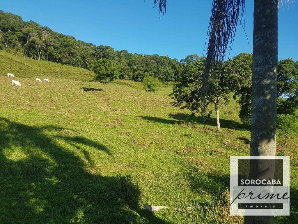 Fazenda à venda, 202000M2 - Foto 18