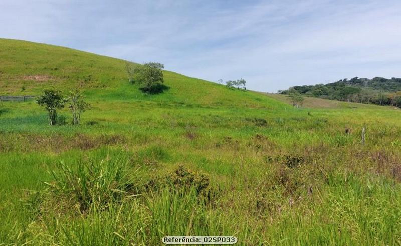 Fazenda à venda com 1 quarto, 80000m² - Foto 10