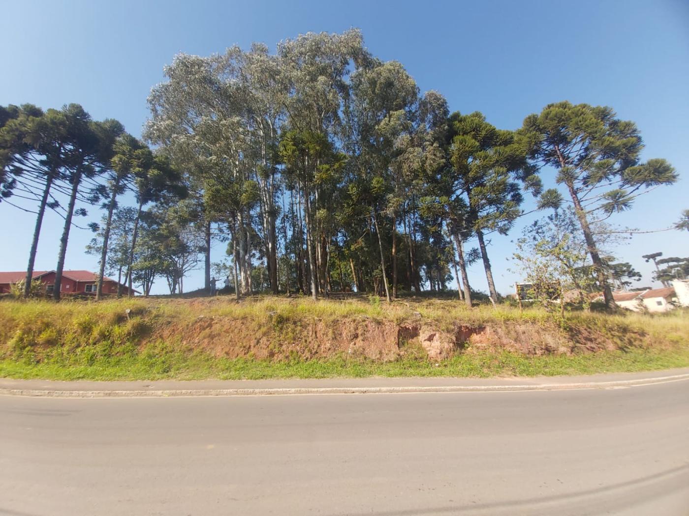 Terreno à venda, 902m² - Foto 1