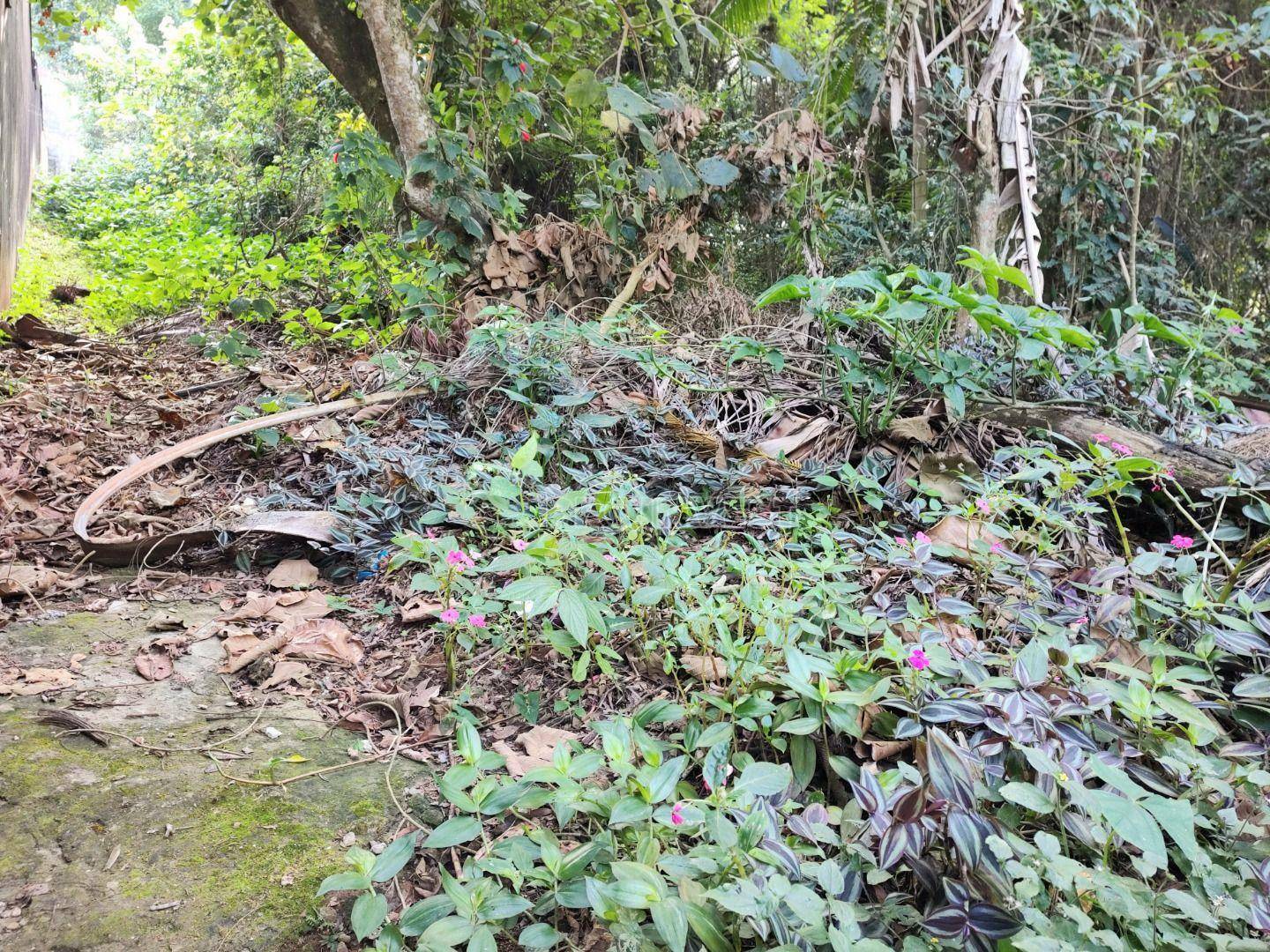 Loteamento e Condomínio à venda, 1000M2 - Foto 5