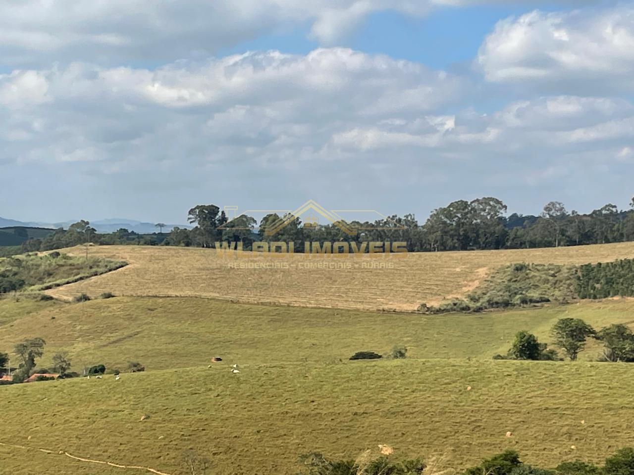 Fazenda à venda, 220m² - Foto 2