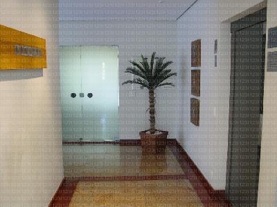 Apartamento à venda com 3 quartos, 195m² - Foto 6