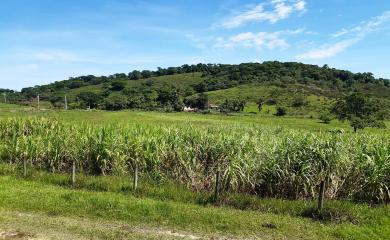 Fazenda à venda com 2 quartos, 210000m² - Foto 24