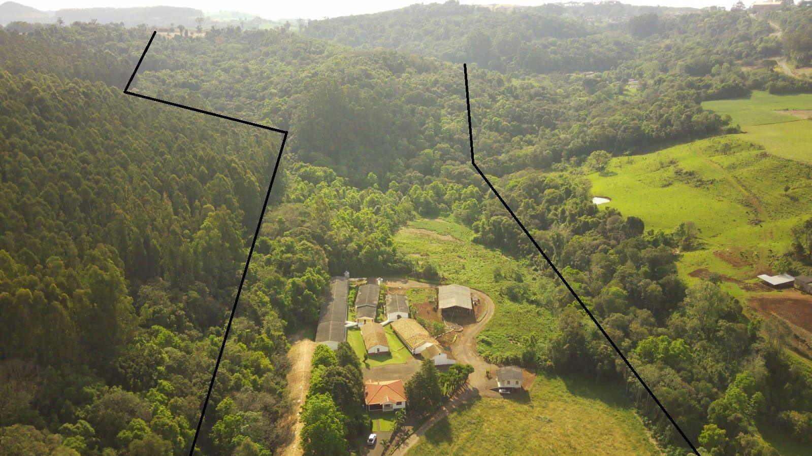 Fazenda à venda, 172000m² - Foto 4