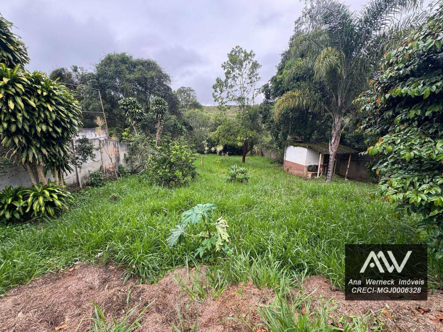 Sítio, 5 quartos, 3000 m² - Foto 10