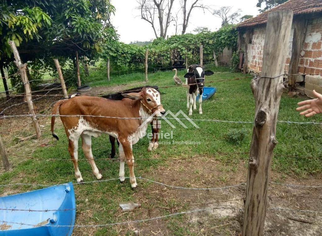 Sítio à venda com 3 quartos, 144000M2 - Foto 28