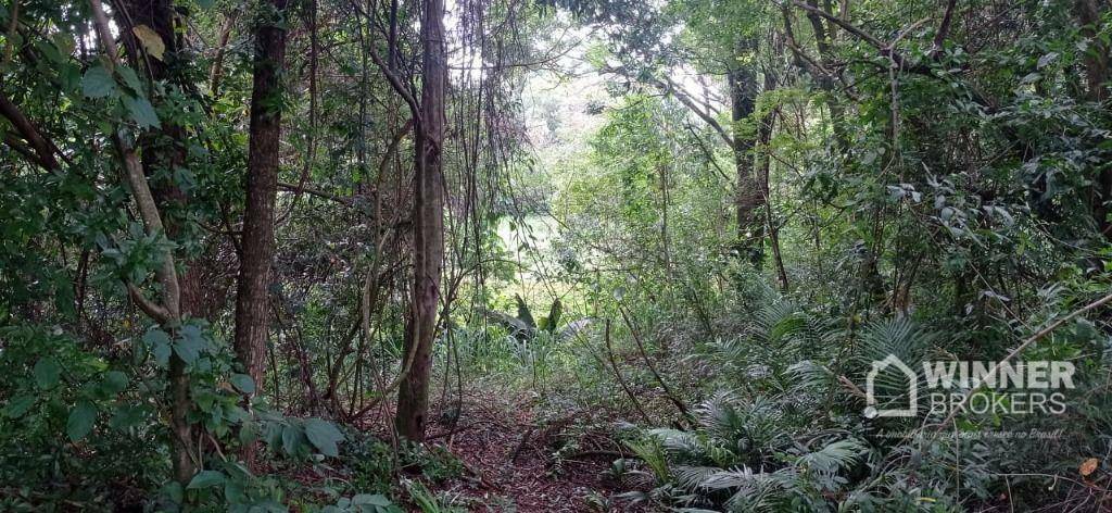 Chácara à venda com 1 quarto, 37280M2 - Foto 17