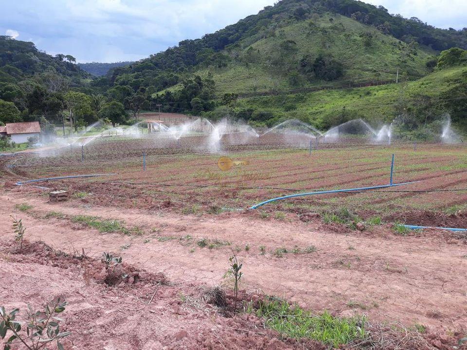 Sítio à venda com 5 quartos, 170000m² - Foto 22