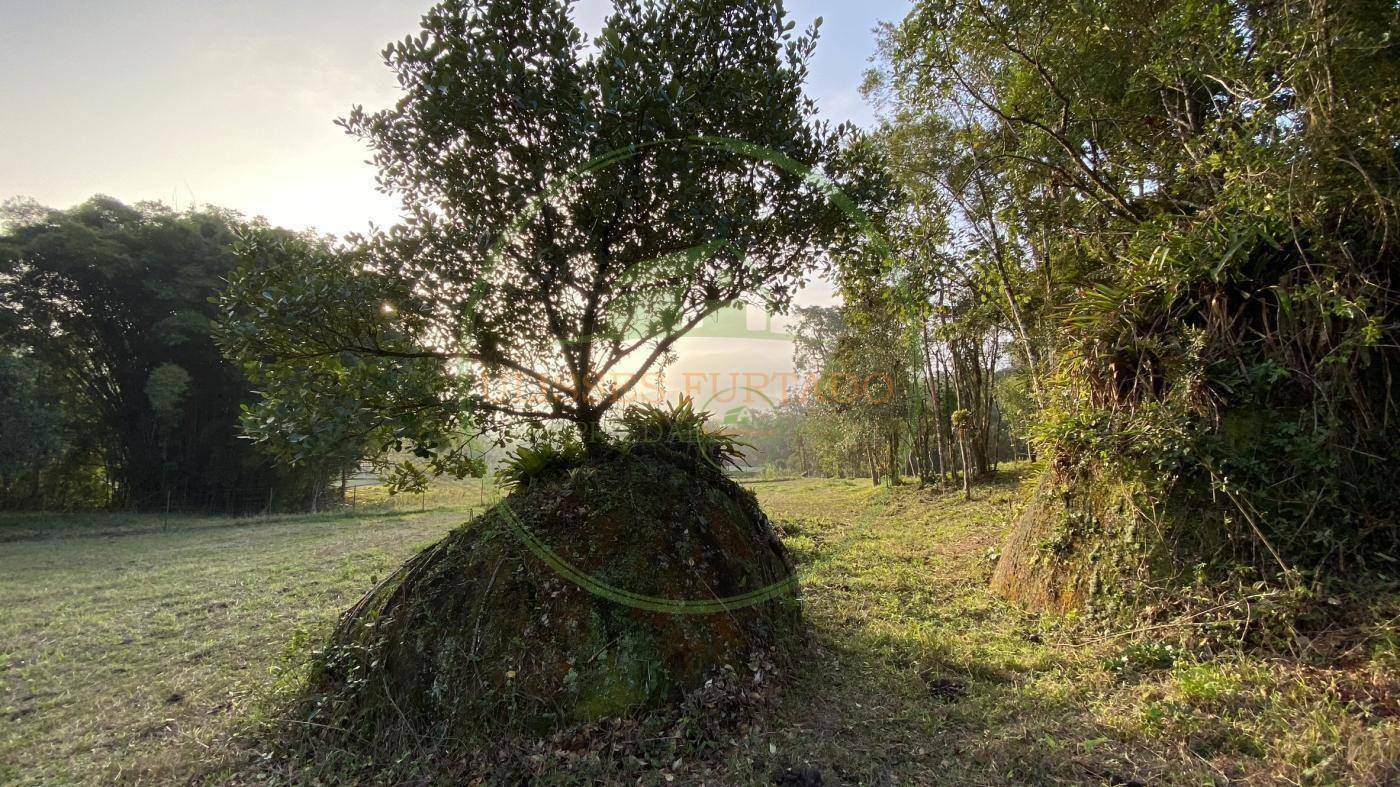 Sítio, 60 m² - Foto 27