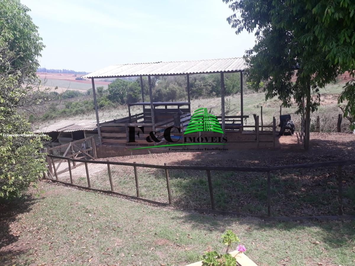 Fazenda à venda com 4 quartos, 27000m² - Foto 22