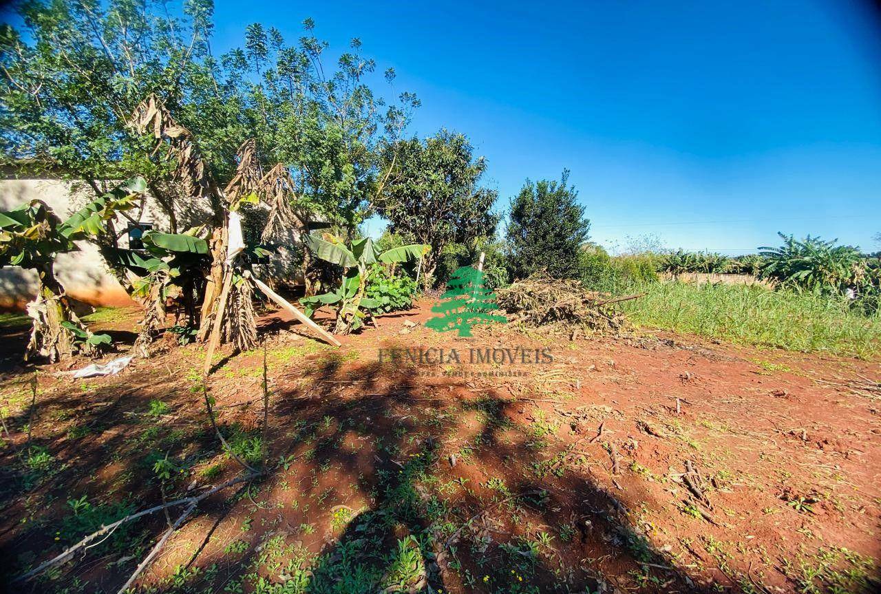 Chácara à venda com 3 quartos, 3870M2 - Foto 6