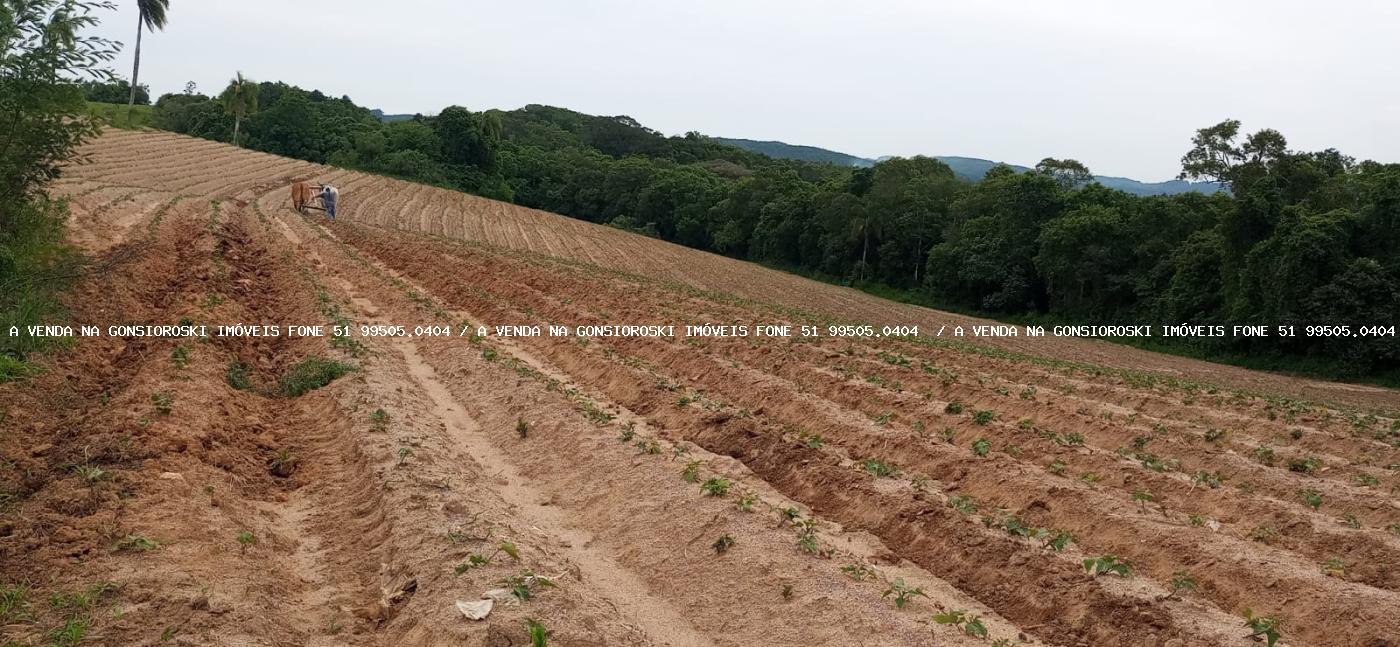 Loteamento e Condomínio à venda, 300000m² - Foto 4