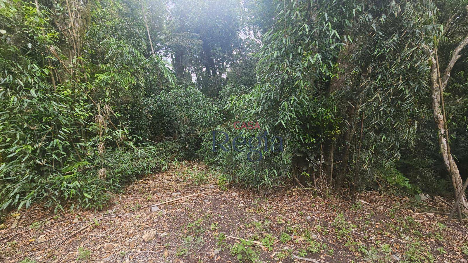 Loteamento e Condomínio à venda, 4210M2 - Foto 9