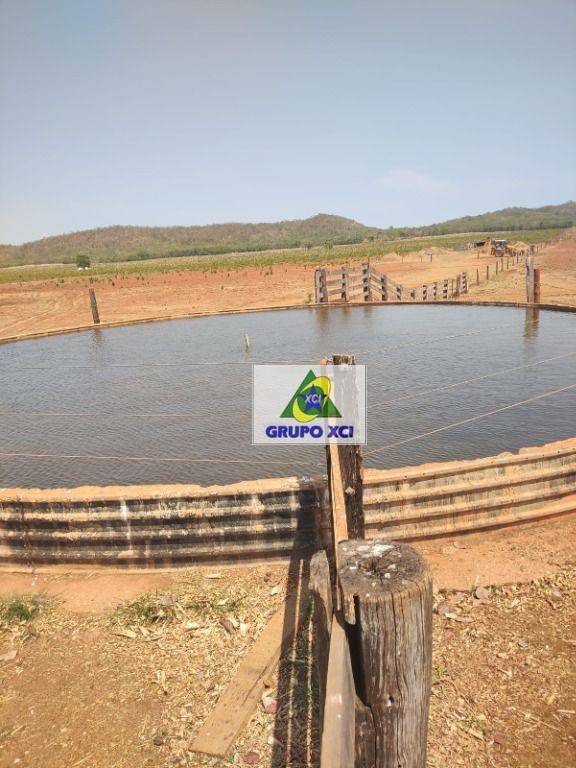 Fazenda à venda, 135000000M2 - Foto 31