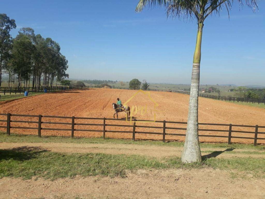 Haras e Área Rural Padrão à venda com 4 quartos, 1000m² - Foto 10