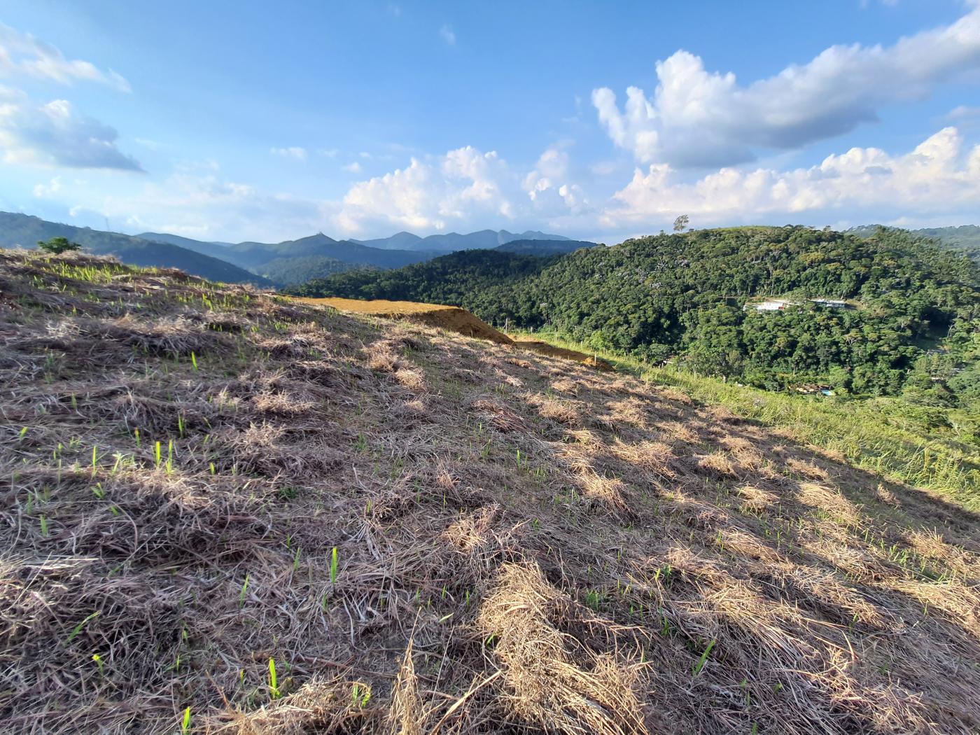 Terreno à venda, 738m² - Foto 4