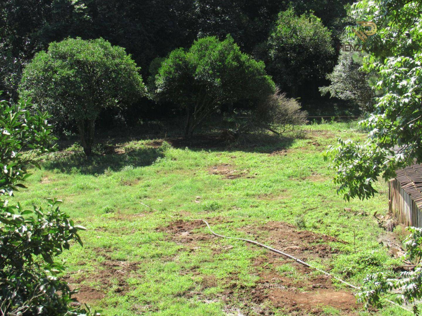 Terreno à venda, 196000M2 - Foto 19