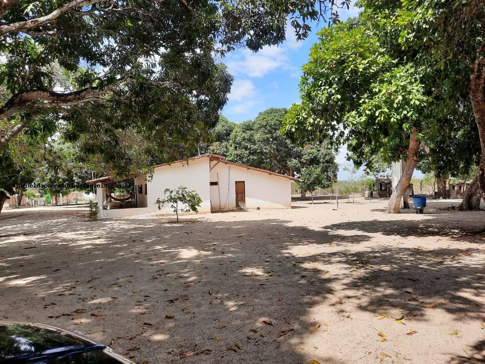 Fazenda à venda com 2 quartos, 14m² - Foto 6