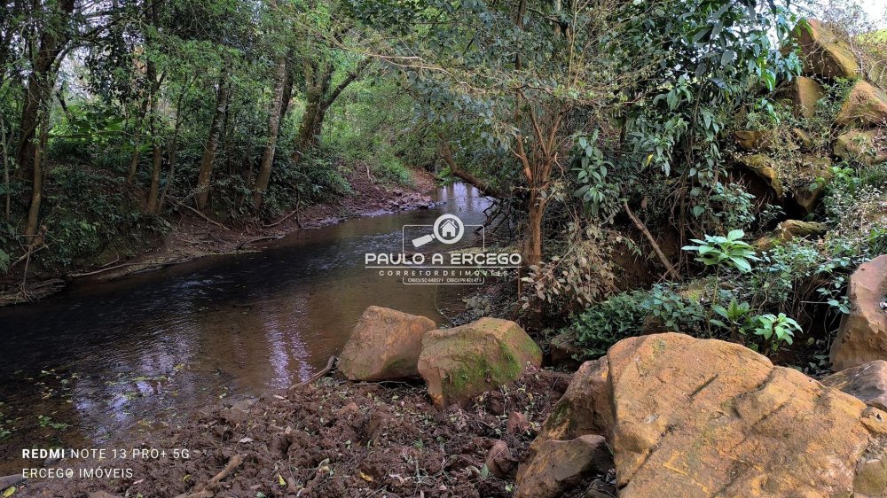 Sítio, 6 hectares - Foto 6