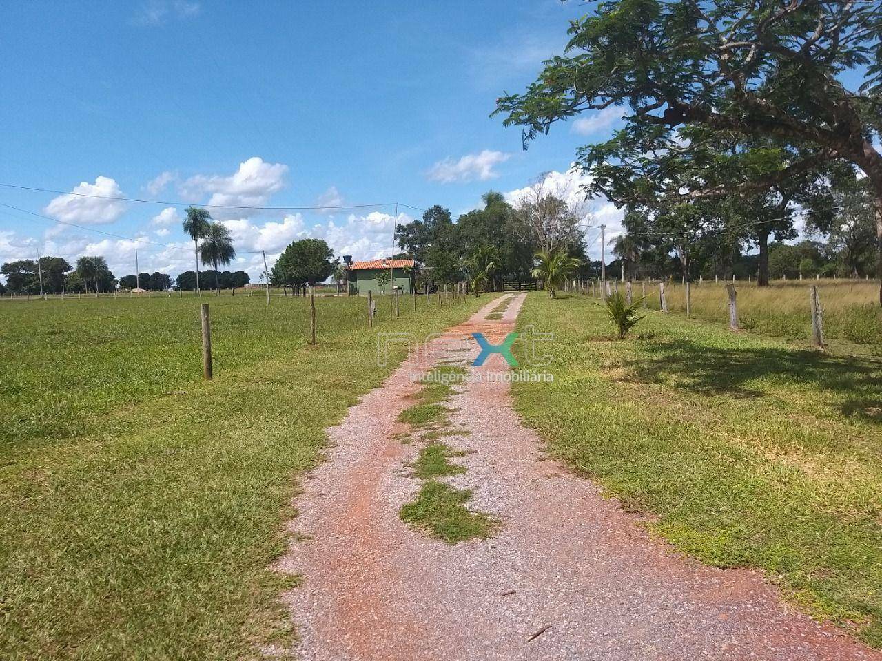 Fazenda à venda com 4 quartos, 430000M2 - Foto 11
