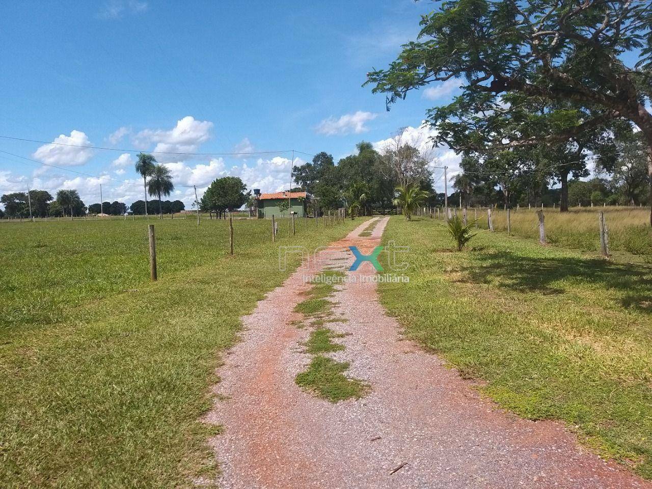 Chácara à venda com 4 quartos, 430000M2 - Foto 11