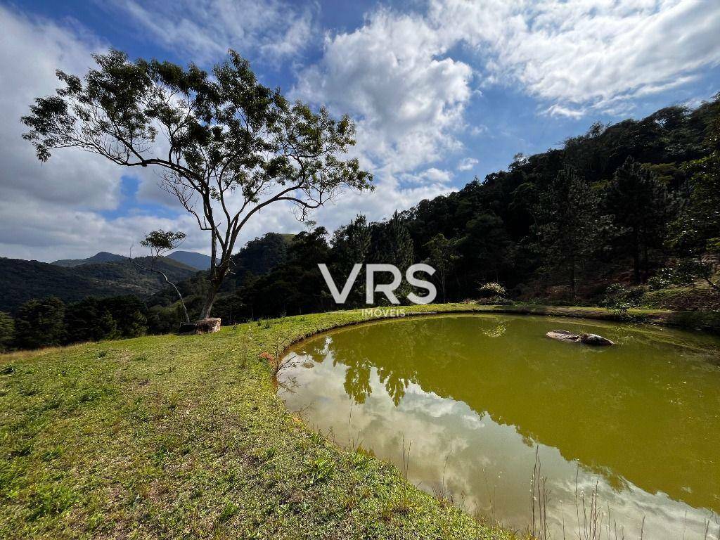 Sítio à venda com 4 quartos, 122000M2 - Foto 64