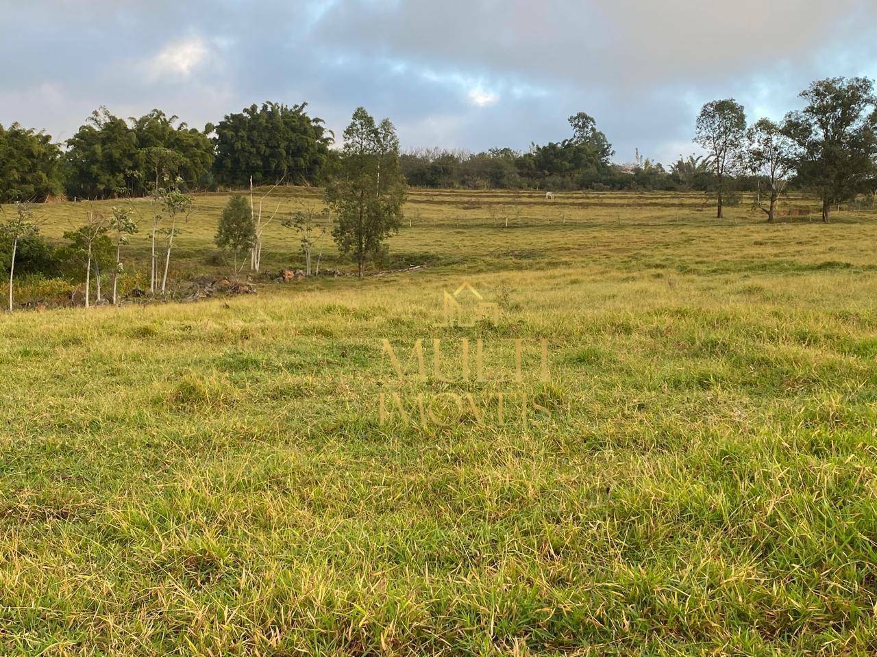 Fazenda à venda, 2323200M2 - Foto 2