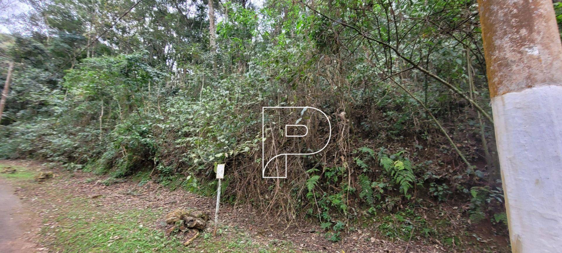 Loteamento e Condomínio, 2568 m² - Foto 4