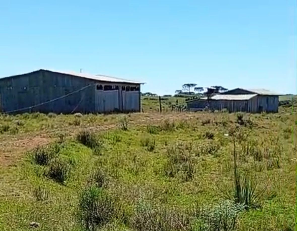 Sítio à venda, 30m² - Foto 1