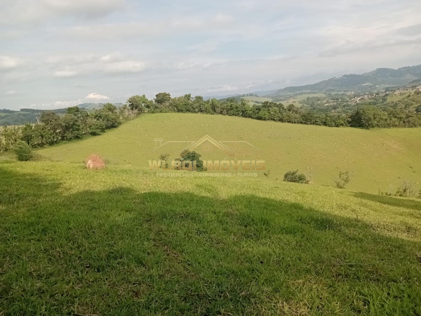 Fazenda à venda com 4 quartos, 7m² - Foto 4