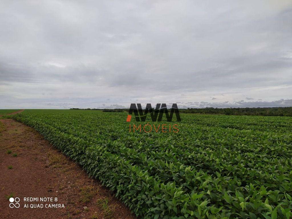 Fazenda à venda, 45302400M2 - Foto 21