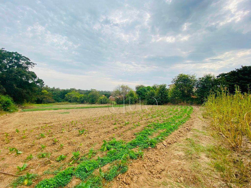 Terreno à venda, 10500M2 - Foto 8