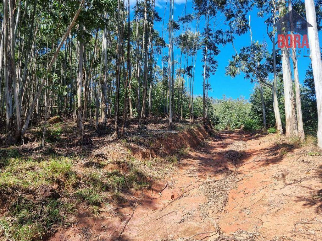 Fazenda à venda com 2 quartos, 1113200M2 - Foto 18