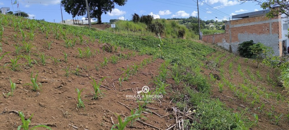 Terreno à venda, 450m² - Foto 4