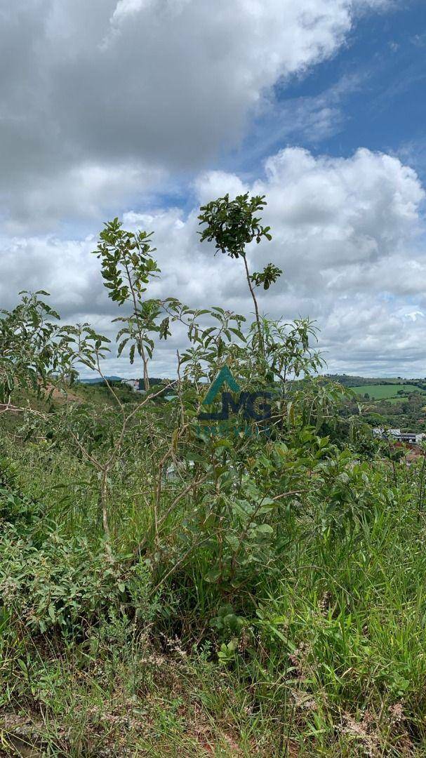 Terreno à venda, 450M2 - Foto 2