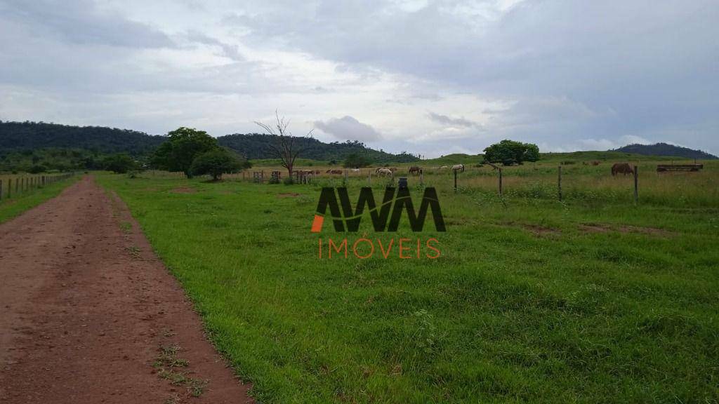 Fazenda à venda, 50336000M2 - Foto 38