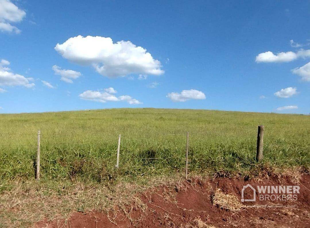 Fazenda à venda com 2 quartos, 2299000M2 - Foto 6