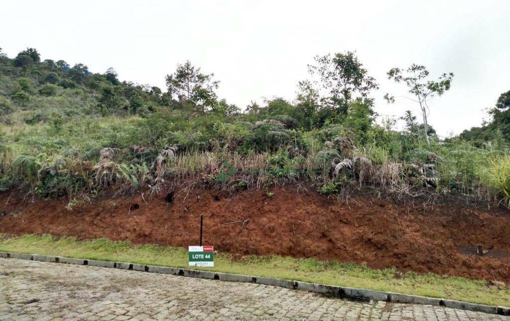 Loteamento e Condomínio à venda, 240M2 - Foto 2