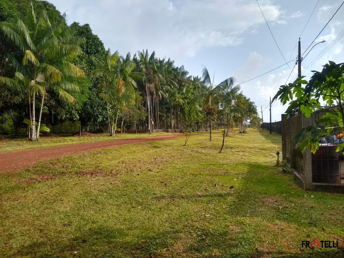 Terreno à venda - Foto 7