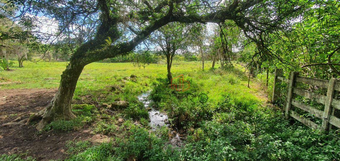 Sítio à venda, 100000M2 - Foto 20