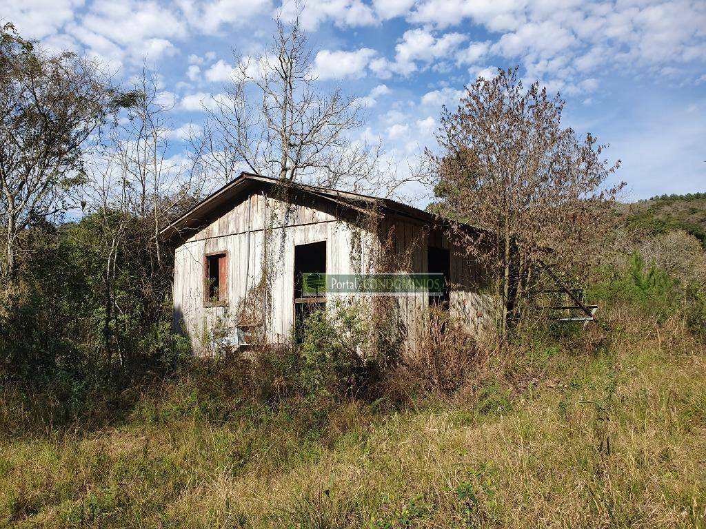 Terreno à venda, 15600M2 - Foto 5