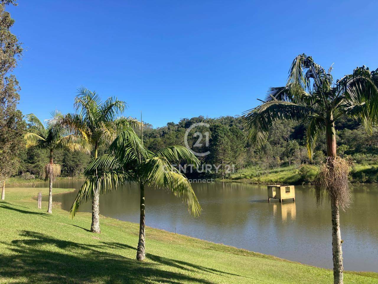 Fazenda-Sítio-Chácara, 18 hectares - Foto 7
