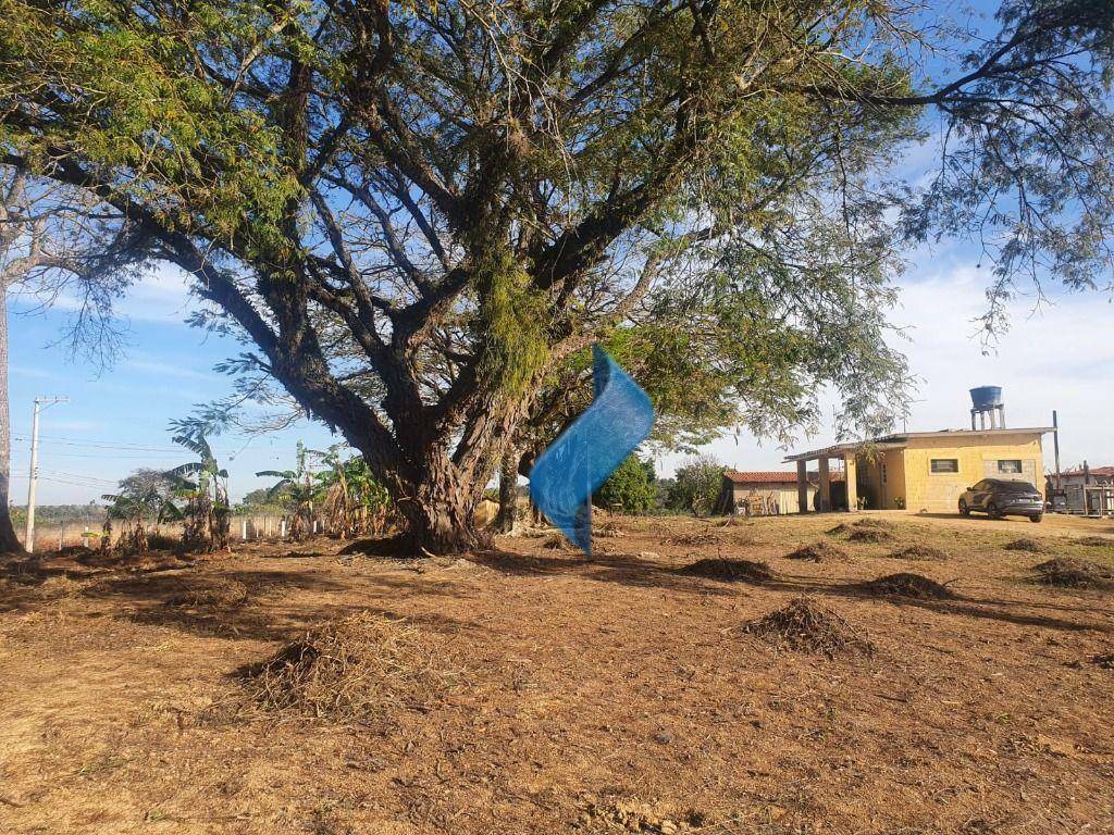 Terreno à venda, 12200M2 - Foto 4