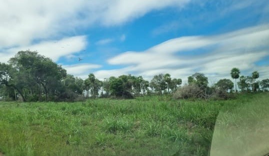 Fazenda à venda, 7300m² - Foto 3